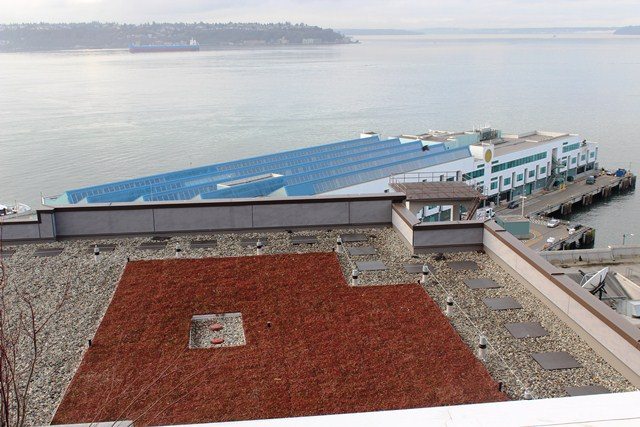 "Eco-Roof"