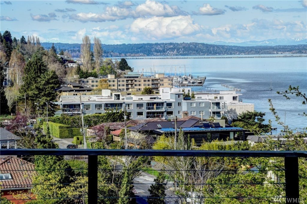 Updated Leschi Modern View Home with Huge ADU Urban Living